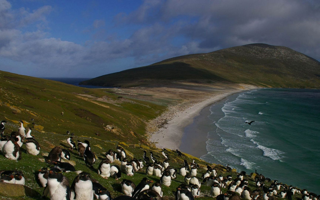 Engine Cooling in the Falkland Islands